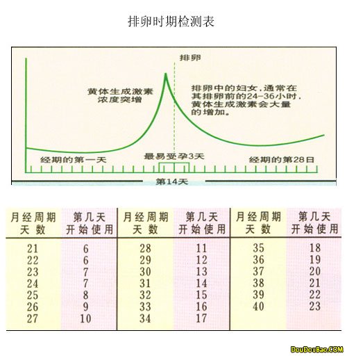 排卵试纸怎么使用 排卵试纸的使用方法和图片对