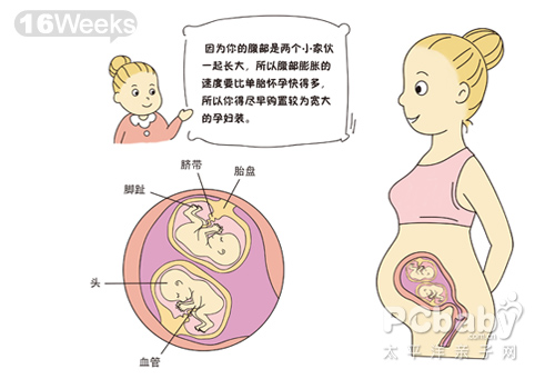 怀双胞胎的症状 双胞胎胎儿发育全过程（图片）