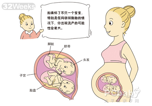 怀双胞胎的症状 双胞胎胎儿发育全过程（图片）