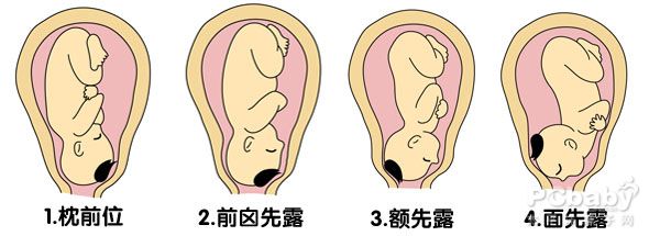 点击大图看下一张