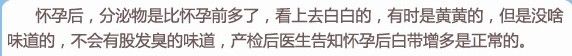 《孕妈私房话》怀孕后，阴dao分泌物变多变臭？